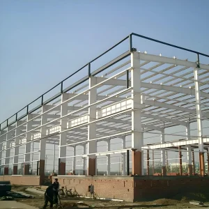 High strength Steel Warehouse with Column free Spans Offering Flexible Layout and Maximized Usable Space