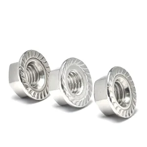 Industrial SS316 GB6177 Acid Resistant M6 M8 M10 M12 Hex Flange Nut for Electrical Cabinets and Power Grid Installation