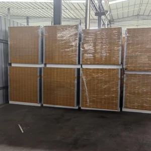 Insulated Steel MGO Sandwich Panels Industrial Fire Resistant Water Resistant for Warehouse and Cold Room Applications