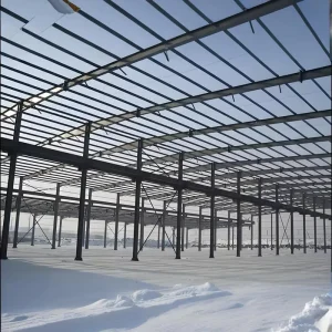 Large-Span Prefabricated Steel Structure with Modern Custom Design