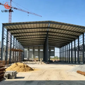 Large Span Steel Building Heavy Snow Load Resistant Enclosed Steel Structure Workshop Workshop Provide Tekla 3D Model & Drawings