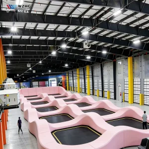 Low Cost Durable Multi Span Steel Structure Building Column Free Community Sports Arena for Basketball Tennis Trampoline