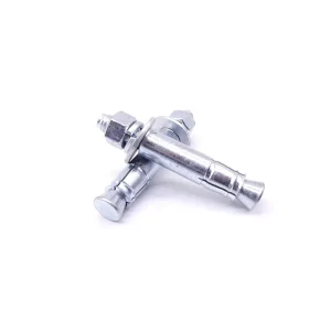 M14 Galvanized Steel Curtain Wall Special Rear Enlarged Mechanical Anchor Bolt Warranty Modern Design for All