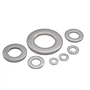 M2 M3 M4 M5 M6 M8 M10 Stainless Steel 304 Zinc Plated 1mm Thickness O Ring Cross Section Metal Washers