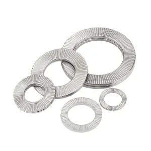 M27 M36 DIN25201 Stainless Steel 304 Conical Wedge Lock Washer Serrated Double Layer Self Locking Washer for Steel Structure