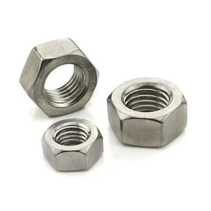 M4 M6 M8 M10 M12 M14 M16 M18 M20 M24 M36 Stainless Steel DIN Standard ASTM A194 2H A563 Hex Nut for Mining