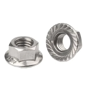 M6 M8 M10 M12 M14 M16 M20 DIN6923 Stainless Steel Serrated Hex Flange Lock Nuts Flanged Nuts