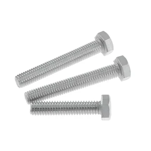 M6 M8 M10 SS304 SS316 Stainless Steel DIN933 Hex Bolts and Nuts