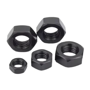 M8 M10 M12 M14 M16 M18 M20 M24 SUS304 SUS316 DIN934 Hex Nut Black Zinc Stainless Steel Ss 304 Hex Nuts