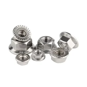M8 M10 M12 Stainless Steel SS SUS AISI ANSI 304 316 316L A2 A4 A2-70 A2-80 A4-70 A4-80 Serrated Hex Flange Nut DIN6923