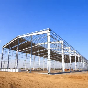 Metal Frame Warehouse Building for Automotive Parts Storage and Industrial Logistics Solutions