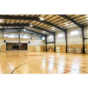 Modern Long Span Steel Structure Stadium with Prefab Truss and Wide Span Design Lifetime Warranty