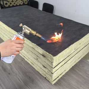 Modern Rock Wool Sandwich Panel with Fireproof EPS Core for Exterior Walls Cold Rooms Workshops Hospitals Hotels Villas