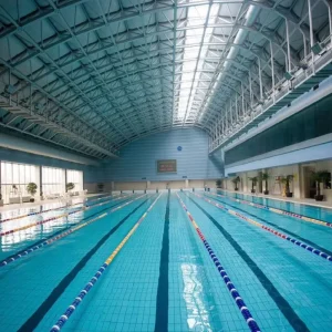 Modern designed Metal Structure for Swimming Pool Roofs