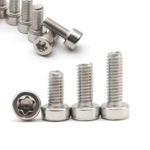 OEM Custom Allen Head Stainless Bolts Tornilleria Ss Nut Bolt Torx Roofing Machine Bulk M8-M20 Screw Fasteners