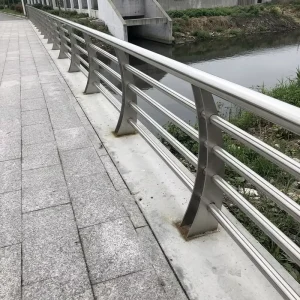Outdoor Bridge Railing Stainless Steel Handrail Guardrail