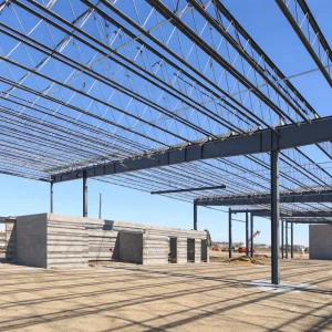 Pre Engineered Long span Steel Structure Frame Building Heavy Welded and Cut Steel for Sale