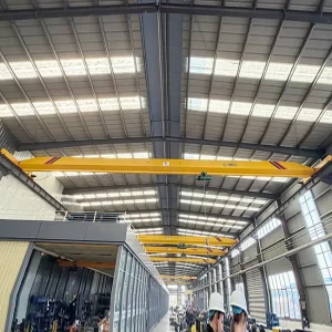Precision Machining Plant 5t Single Girder Bridge Crane