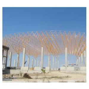 Prefabricated Industrial Steel Structure Flat Curved Space Frame Canopy Metal Frame Roofing