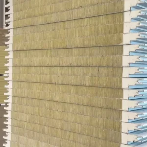 Prefabricated Insulated Polyurethane Rock Wool Board EPS PIR PU Glass Magnesium Sandwich Panel