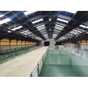Prefabricated Steel Structure Building Warehouse Roof Truss Shed