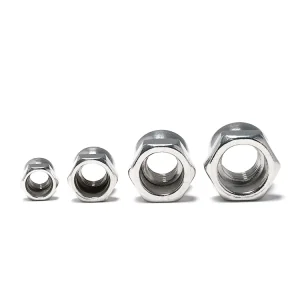 Premium Metal Hex Head Dome Nut Thread Cover Fastener for Machine Parts Furniture Hardware and Electronic Equipment