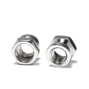 Premium Metal Hex Head Dome Nut Thread Cover Fastener for Machine Parts Furniture Hardware and Electronic Equipment