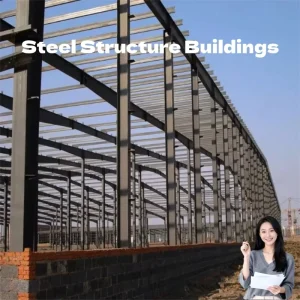 Q355B Durable Heavy Steel Structure Steel Workshop Warehouse Storage Building Portal Frame Welded H Section Crane Modern Design