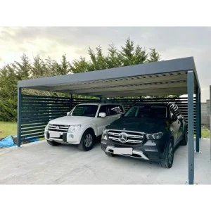 Robust Assembly Exquisite Refined Outline Artistic Balance Modern High Cost Performance Ultimate Newly Carport