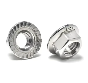Rustproof 304 Stainless Steel Hex Flange Nut DIN 6923 Serrated Anti-Slip Lock Nut