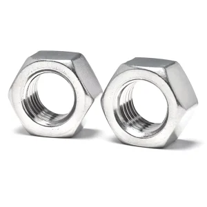SS304 Metric Standard Thread Anti-Rust M2-M20 Hexagonal Nut for Electrical Engineering and Factory