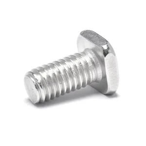 SUS304 Stainless Steel T Bolt for Heavy Duty Outdoor Wood Structures