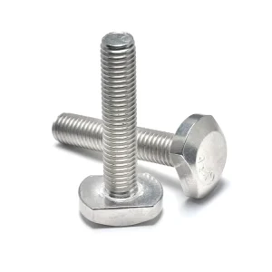 Salt Spray Resistant SUS316 T Bolt for Offshore Wind Farm Projects