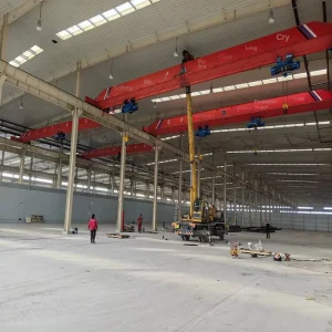 Single Beam Bridge Crane 2 5 Ton Capacity 9m Lifting Height