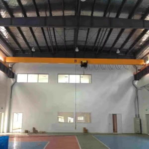 Single Girder Steel Workshop Overhead Beam Bridge Crane 2t with Iso Certificate