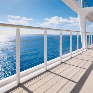 Stainless Steel 304 316 Balustrades Handrails for Balcony Terrace Stair Railing Use