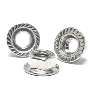 Stainless Steel 304 DIN6923 Rust Resistant M8 M10 M12 Hex Flange Nut for Solar PV Panel Mounting Structure