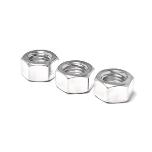 Stainless Steel 304 Metric Standard Thread Anti-Rust M5 M6 M8 M10 Hex Nut for Solar Panel Mounting System