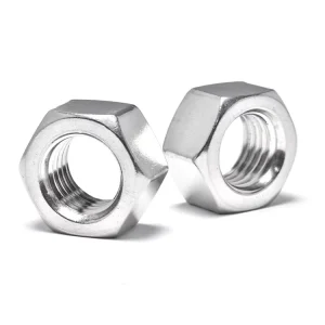Stainless Steel 304 Metric Standard Thread Anti-Rust M5 M6 M8 M10 Hex Nut for Solar Panel Mounting System