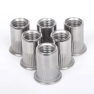 Stainless Steel Left Hand Rivet Nut Polished Finish M2 M10 Countersunk Flat Head Factory Direct