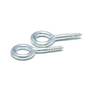 Stainless Steel Mini Eye Bolt for Corrosion-Resistant Mounting of Tiny Garden Fixtures
