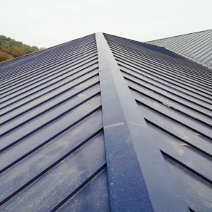 Standing Seam Metal Roof Sheet Color Stainless Steel Plate Ppcg Decorative Zinc Metal Roofs Coated Color Steel Sheet