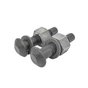 Supply and High Strength Carbon Steel Structural Torsion Shear Bolts and Screws Class 10.9 Galvanized