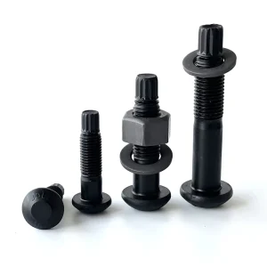 Supply of High strength Grade 10.9 Steel Structural Torsion and Shear Bolts
