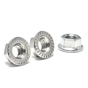Top Grade SS316 A4 70 DIN6923 Corrosion Proof M5 M6 M8 M10 Hex Flange Nut for Chemical Plants and Petrochemical Industry