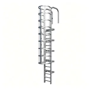 Wall Mount Galvanized Steel Cage Safety Ladder Industrial Warehouse Roof Emergency Escape Access Stair